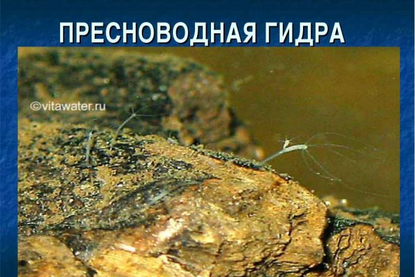 Кракен маркет даркнет слушать